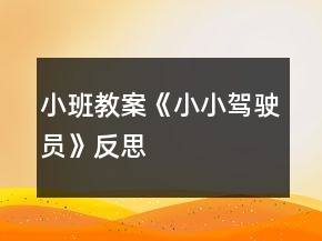 小班教案《小小駕駛員》反思