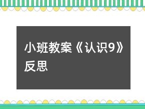 小班教案《認(rèn)識(shí)9》反思