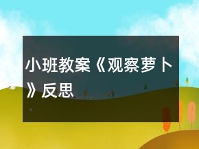 小班教案《觀察蘿卜》反思