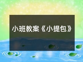 小班教案《小提包》
