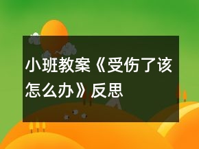 小班教案《受傷了該怎么辦》反思