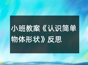 小班教案《認(rèn)識(shí)簡(jiǎn)單物體形狀》反思