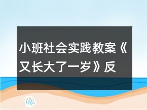 小班社會實踐教案《又長大了一歲》反思