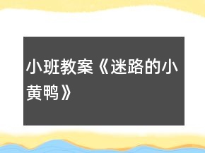 小班教案《迷路的小黃鴨》