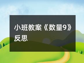 小班教案《數(shù)量9》反思