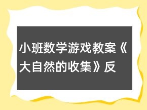 小班數(shù)學游戲教案《大自然的收集》反思