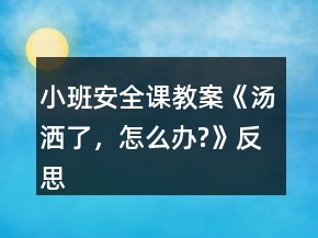 小班安全課教案《湯灑了，怎么辦?》反思