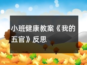 小班健康教案《我的五官》反思