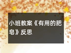 小班教案《有用的肥皂》反思