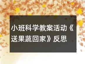 小班科學教案活動《送果蔬回家》反思