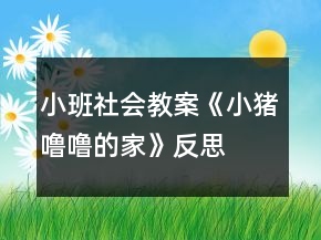 小班社會(huì)教案《小豬嚕嚕的家》反思