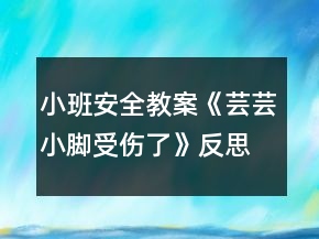 小班安全教案《蕓蕓小腳受傷了》反思