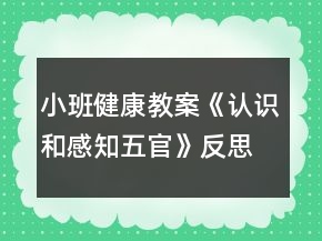 小班健康教案《認(rèn)識(shí)和感知五官》反思