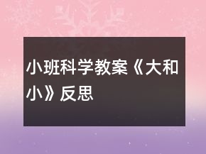 小班科學(xué)教案《大和小》反思