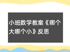 小班數(shù)學(xué)教案《哪個(gè)大、哪個(gè)小》反思