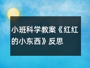 小班科學(xué)教案《紅紅的小東西》反思