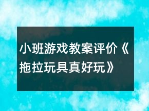 小班游戲教案評(píng)價(jià)《拖拉玩具真好玩》反思