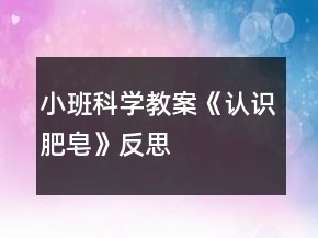 小班科學教案《認識肥皂》反思