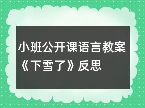小班公開課語言教案《下雪了》反思