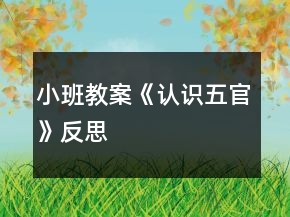 小班教案《認(rèn)識五官》反思
