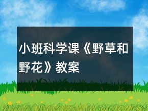 小班科學(xué)課《野草和野花》教案