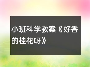 小班科學(xué)教案《好香的桂花呀》