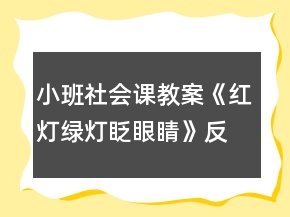 小班社會課教案《紅燈綠燈眨眼睛》反思