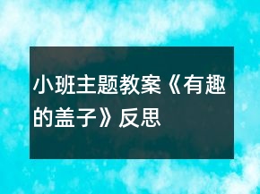 小班主題教案《有趣的蓋子》反思