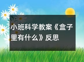 小班科學(xué)教案《盒子里有什么》反思