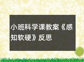 小班科學(xué)課教案《感知軟硬》反思