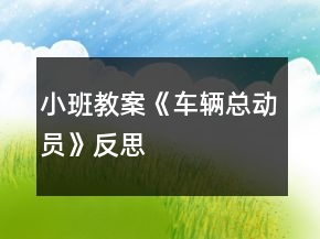 小班教案《車輛總動(dòng)員》反思