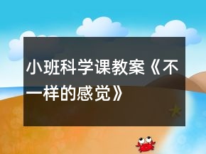 小班科學(xué)課教案《不一樣的感覺》