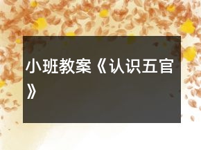 小班教案《認(rèn)識五官》