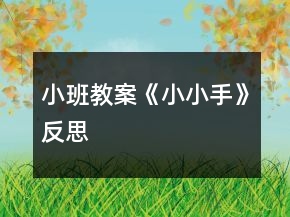 小班教案《小小手》反思