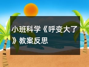 小班科學(xué)《呼變大了》教案反思