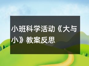 小班科學(xué)活動《大與小》教案反思