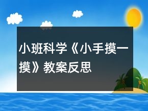 小班科學《小手摸一摸》教案反思