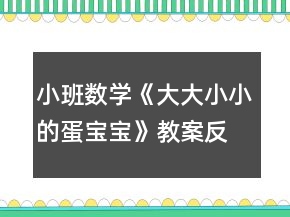 小班數(shù)學(xué)《大大小小的蛋寶寶》教案反思