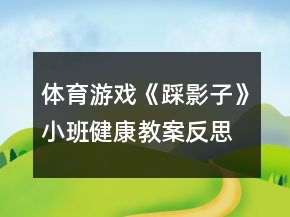 體育游戲《踩影子》小班健康教案反思