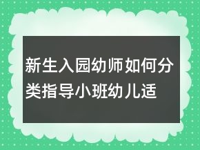 新生入園幼師如何分類指導(dǎo)小班幼兒適應(yīng)新環(huán)境？