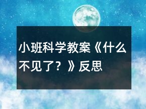 小班科學(xué)教案《什么不見(jiàn)了？》反思