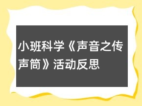 小班科學(xué)《聲音之傳聲筒》活動反思