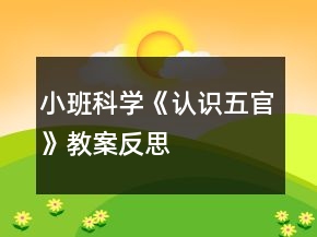 小班科學《認識五官》教案反思