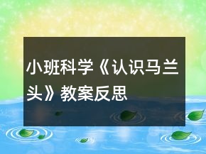 小班科學(xué)《認(rèn)識馬蘭頭》教案反思