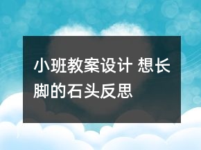 小班教案設(shè)計(jì) 想長腳的石頭反思