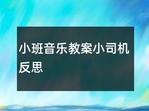小班音樂教案：小司機反思