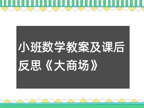 小班數(shù)學(xué)教案及課后反思《大商場(chǎng)》