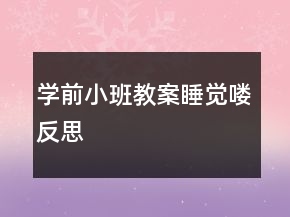學(xué)前小班教案：睡覺嘍反思