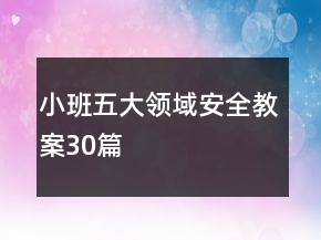 小班五大領(lǐng)域安全教案30篇