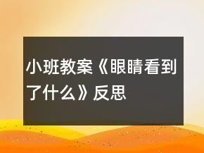 小班教案《眼睛看到了什么》反思